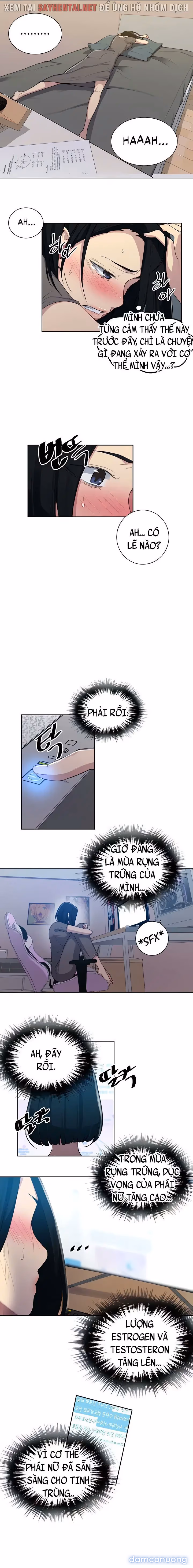 Cả nhà mở lớp dạy yêu cho tôi 
