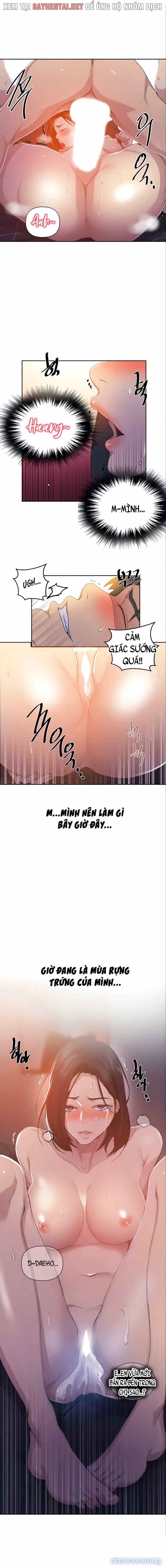 Cả nhà mở lớp dạy yêu cho tôi 
