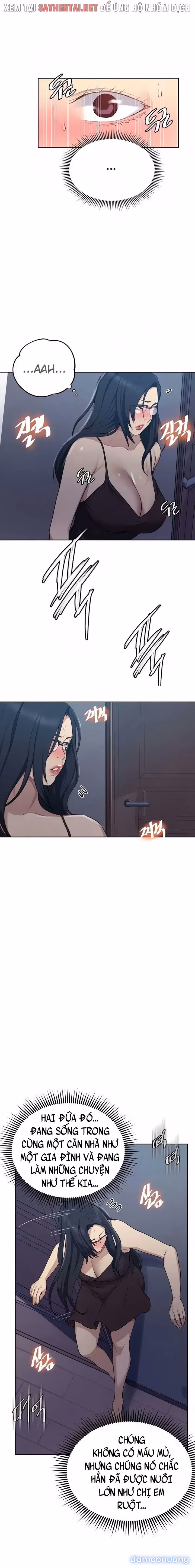 Cả nhà mở lớp dạy yêu cho tôi 