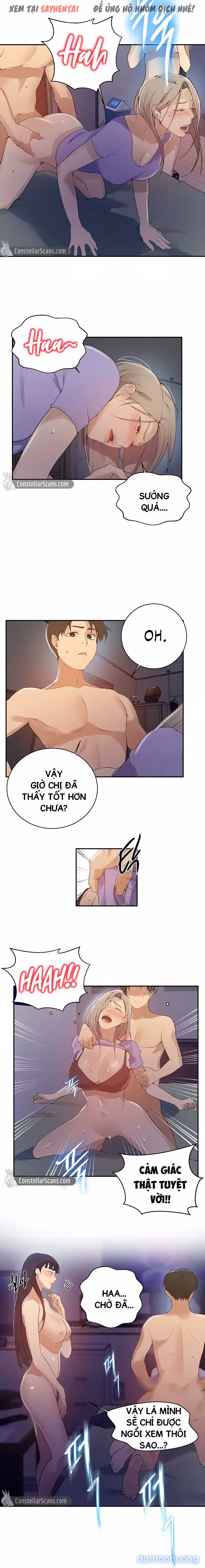 Cả nhà mở lớp dạy yêu cho tôi 