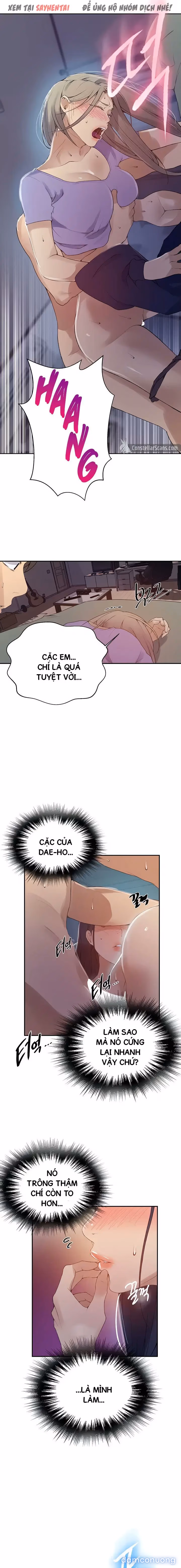 Cả nhà mở lớp dạy yêu cho tôi 