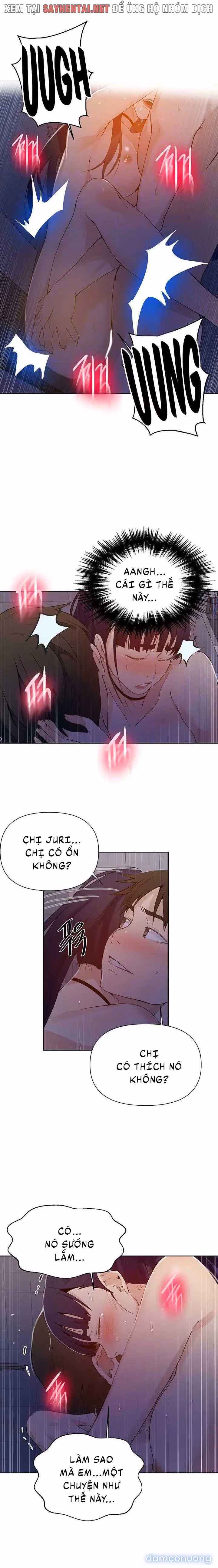 Cả nhà mở lớp dạy yêu cho tôi 