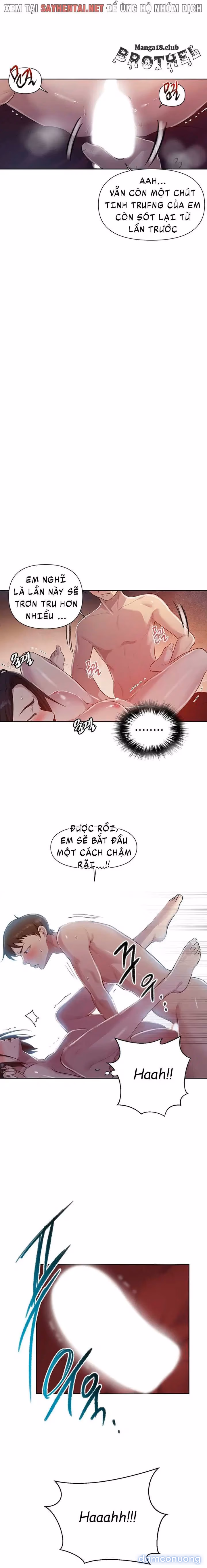 Cả nhà mở lớp dạy yêu cho tôi 