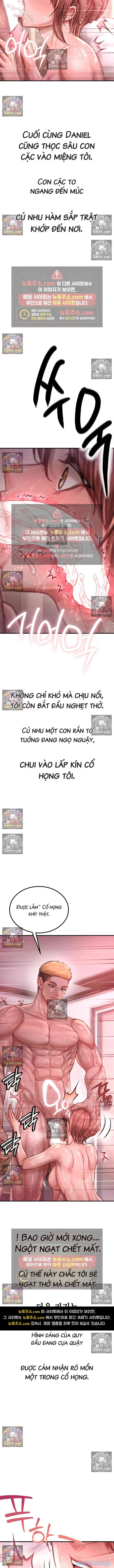Góc Khuất Sân Bóng Chày 