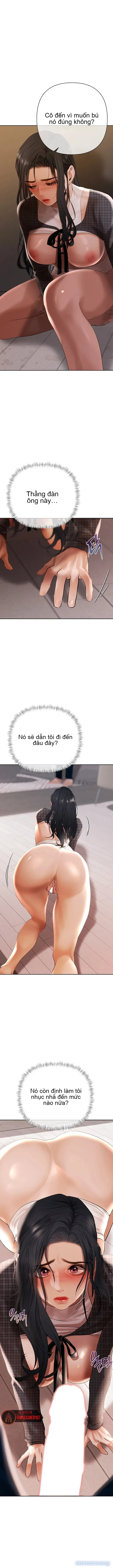 Trò Chơi Đồng Tiền 