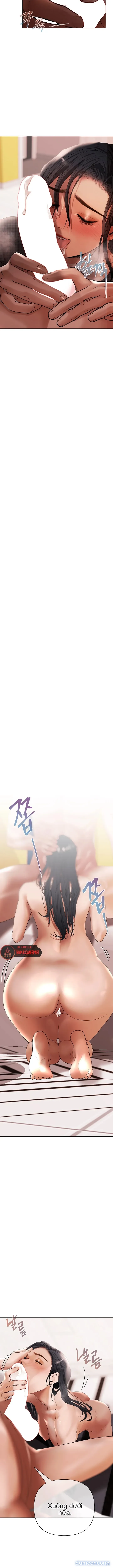 Trò Chơi Đồng Tiền 