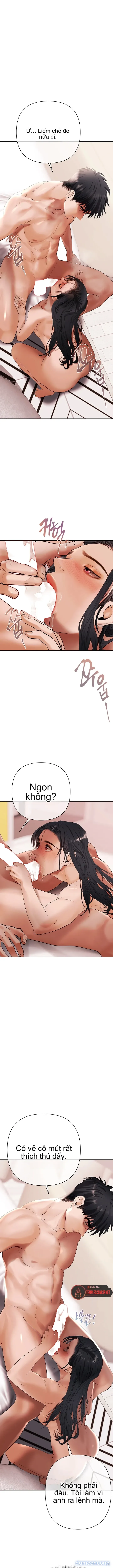 Trò Chơi Đồng Tiền 