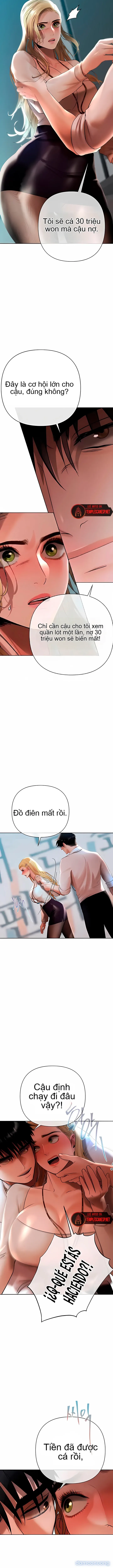 Trò Chơi Đồng Tiền 