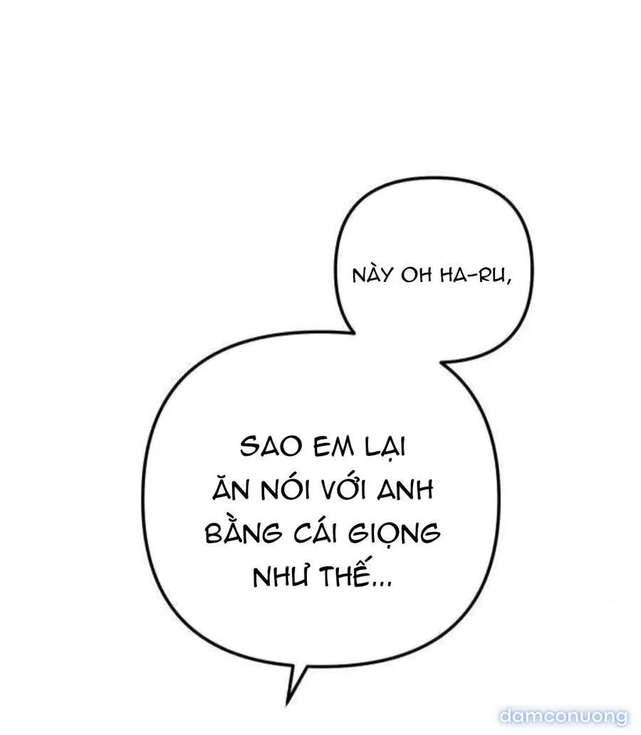 Câu Lạc Bộ Chị Đẹp 