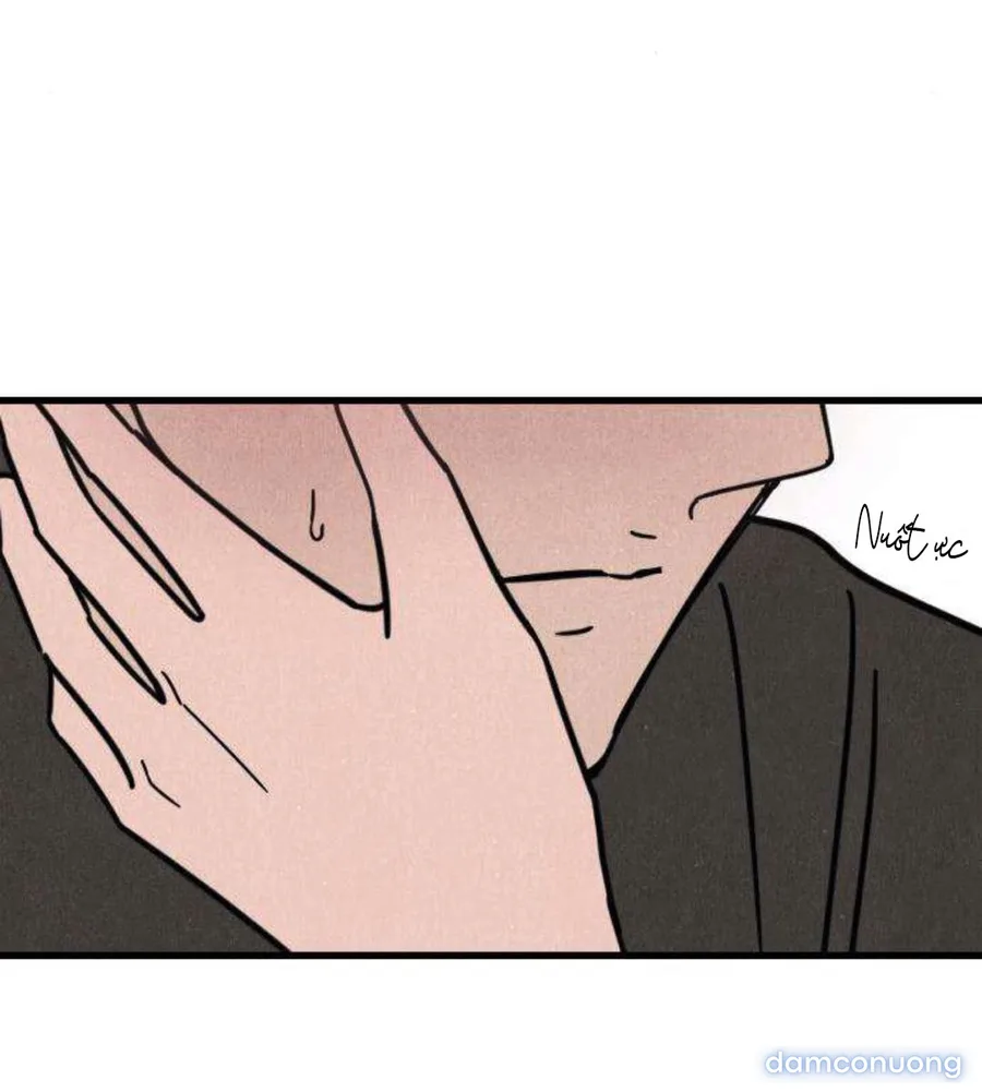 Câu Lạc Bộ Chị Đẹp 
