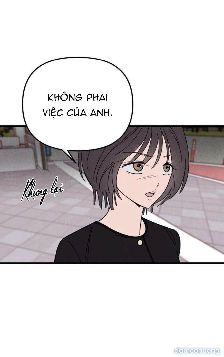 Câu Lạc Bộ Chị Đẹp 