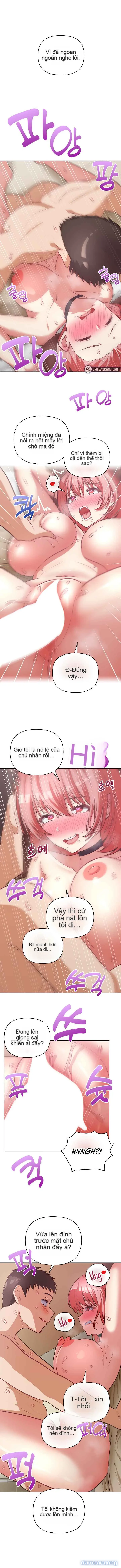 Công Ty Rác Rưởi Này Giờ Là Của Tôi 