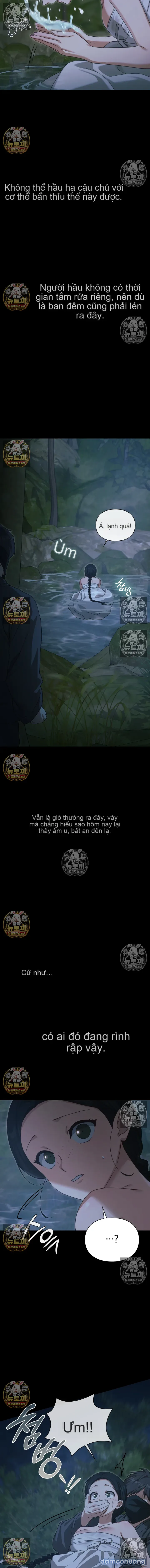 Nhật Ký Tội Lỗi 