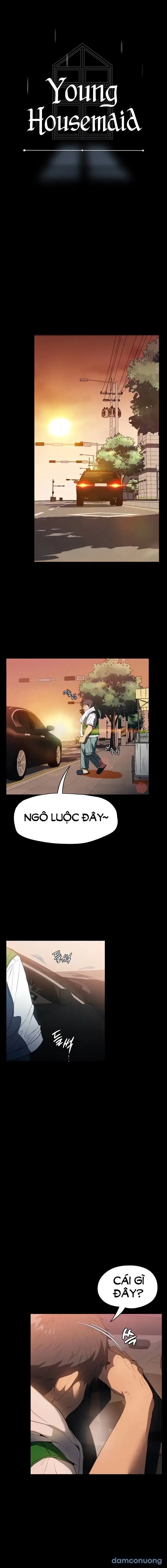 Người Giúp Việc Bí Ẩn 