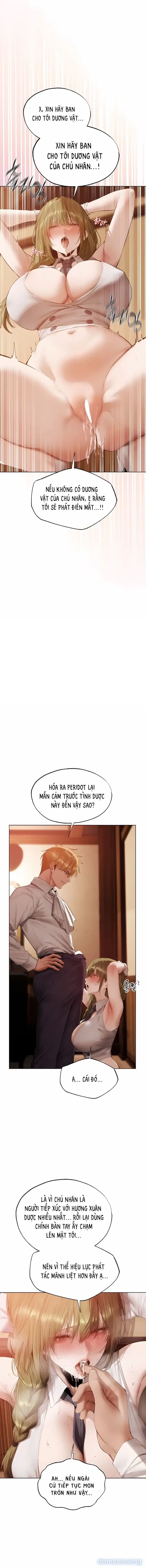Săn MILF ở dị giới 