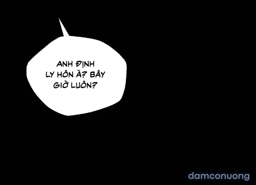 Mùa Hè Năm Ấy, Tựa Như Hoa Dại 