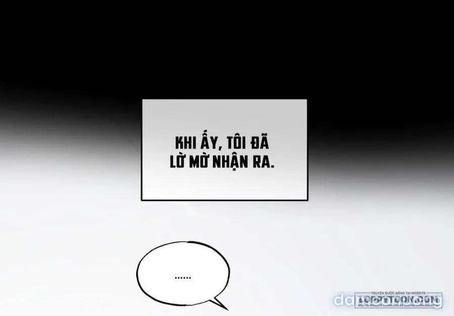 Mùa Hè Năm Ấy, Tựa Như Hoa Dại 