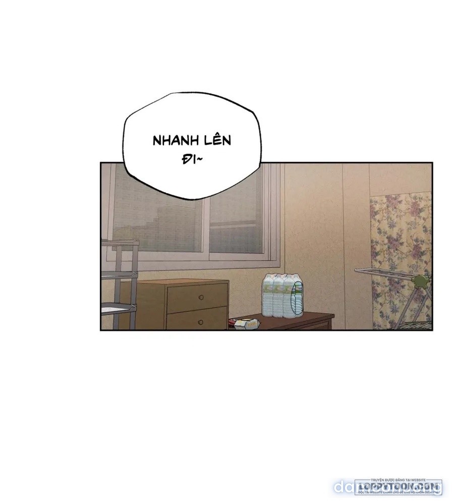Mùa Hè Năm Ấy, Tựa Như Hoa Dại 