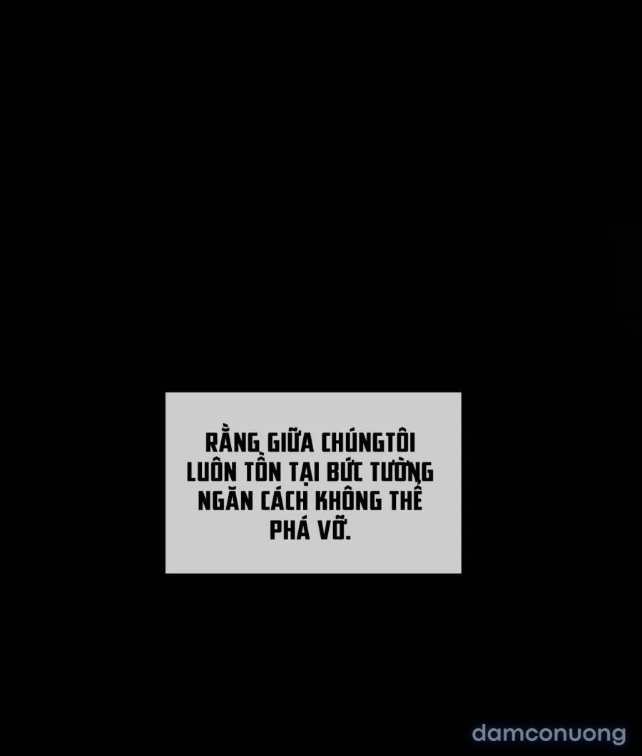 Mùa Hè Năm Ấy, Tựa Như Hoa Dại 