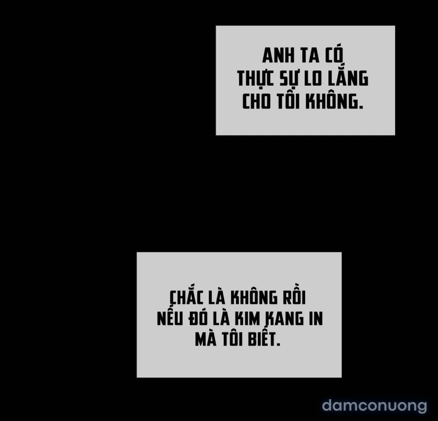 Mùa Hè Năm Ấy, Tựa Như Hoa Dại 