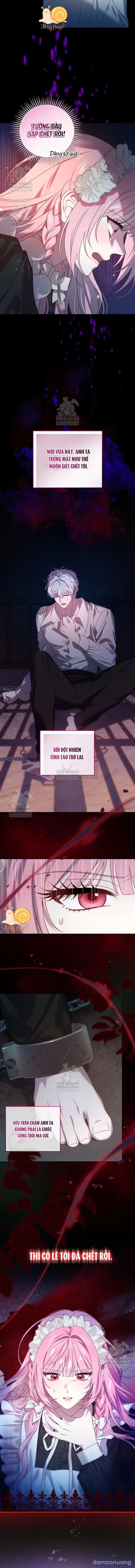 Kẻ Ám Ảnh Cuồng Tín Đang Cố Giam Cầm Tôi 