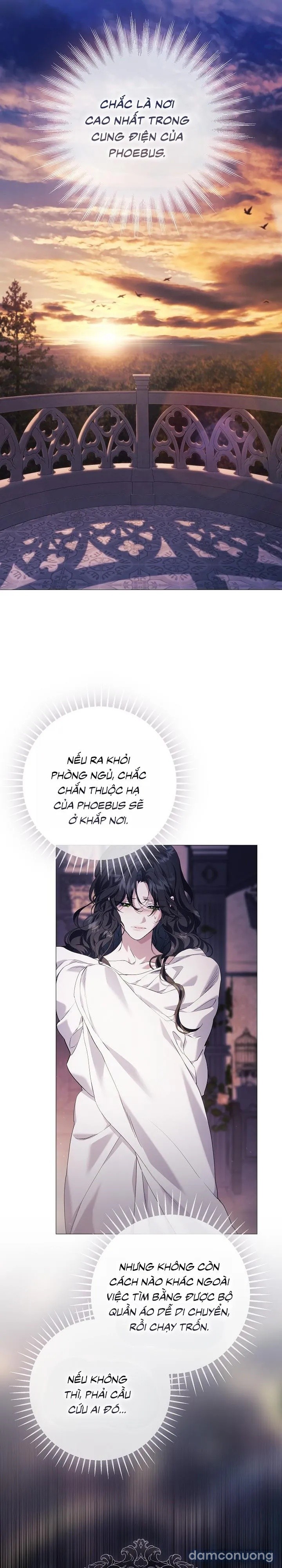 Dành Cho Các Nữ Thần : Dành Cho Daphne 