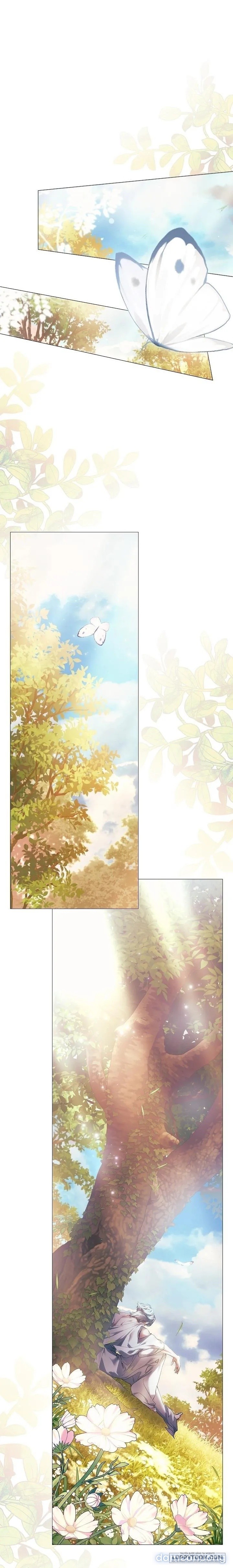 Dành Cho Các Nữ Thần : Dành Cho Daphne 