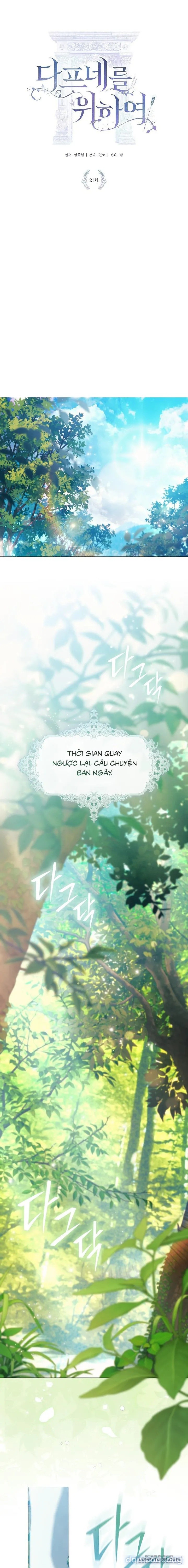 Dành Cho Các Nữ Thần : Dành Cho Daphne 