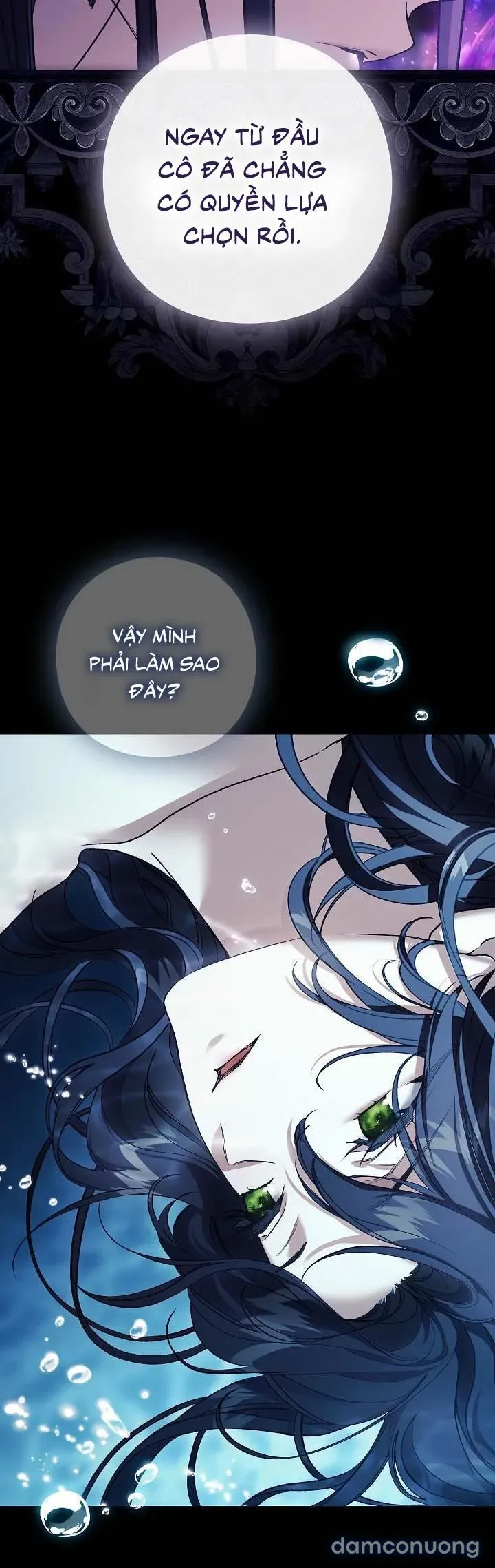 Dành Cho Các Nữ Thần : Dành Cho Daphne 
