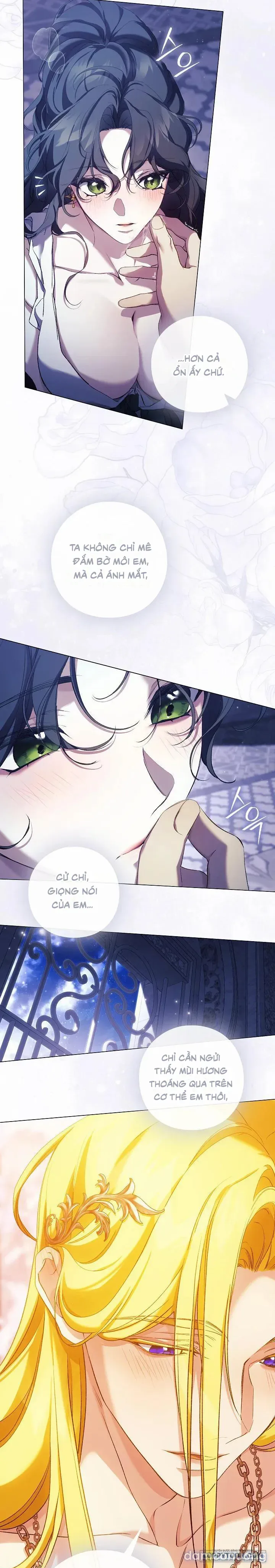 Dành Cho Các Nữ Thần : Dành Cho Daphne 