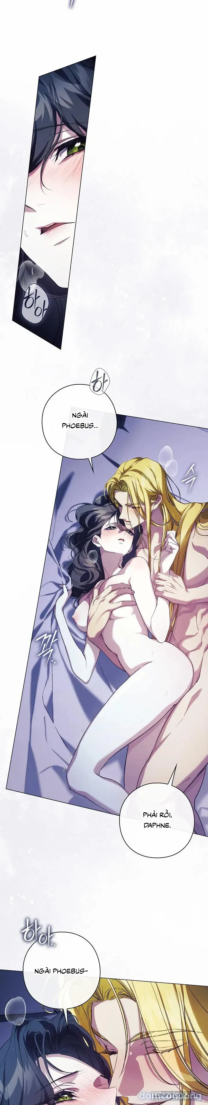 Dành Cho Các Nữ Thần : Dành Cho Daphne 