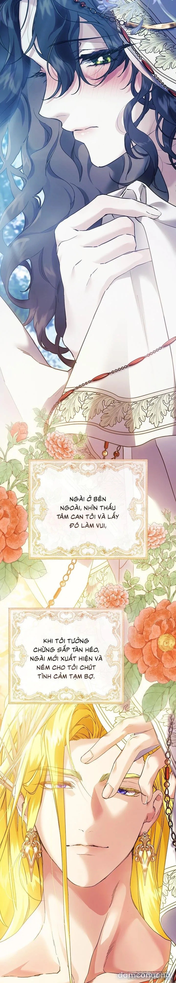 Dành Cho Các Nữ Thần : Dành Cho Daphne 