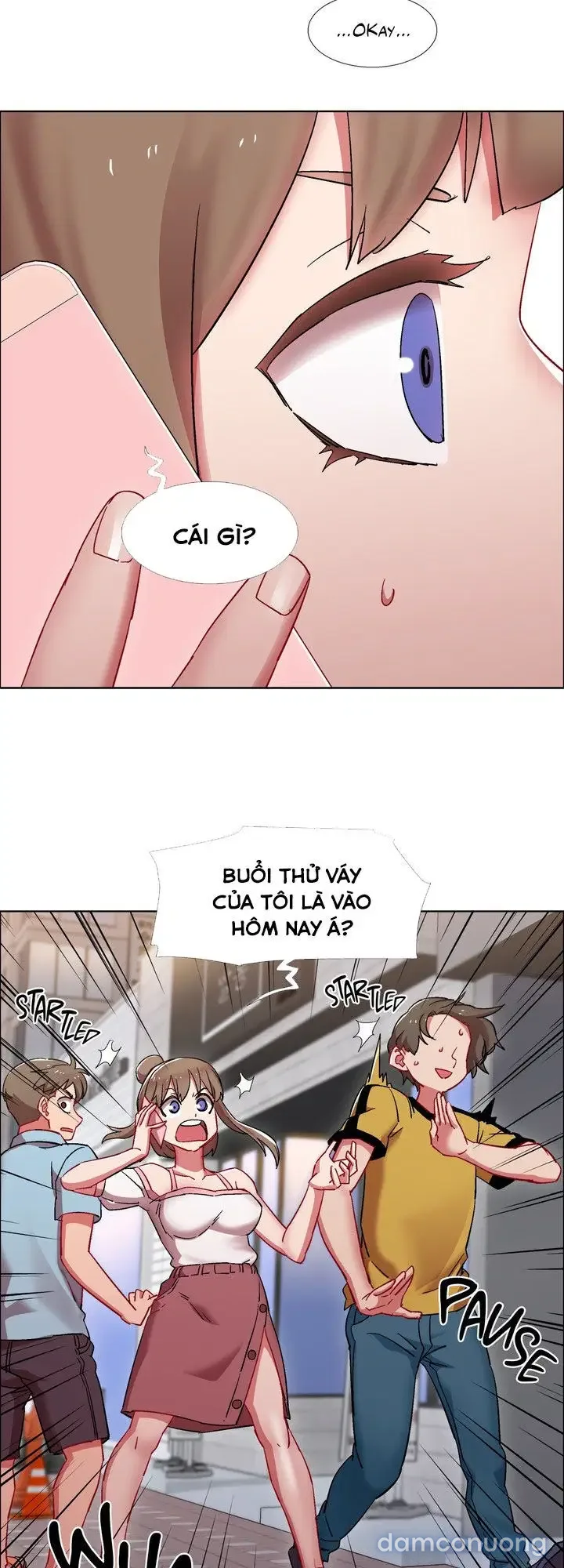 Cửa hàng cho thuê phim sex 