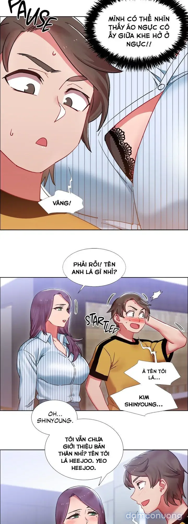 Cửa hàng cho thuê phim sex 