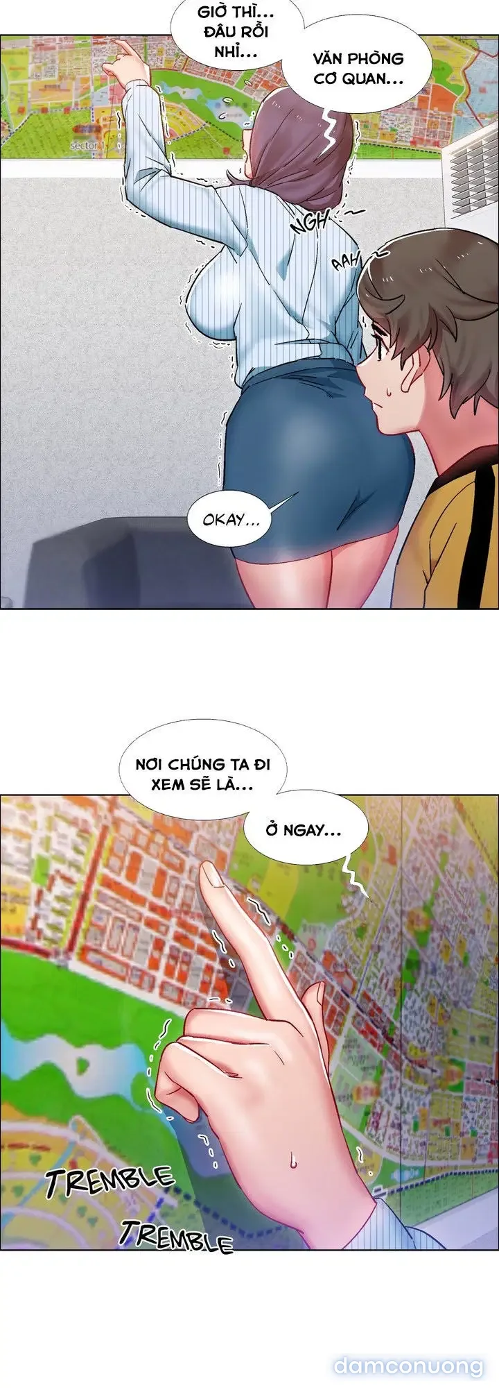 Cửa hàng cho thuê phim sex 