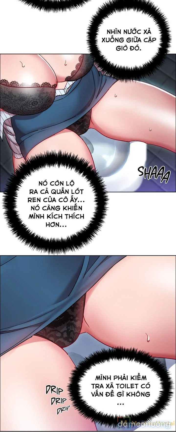 Cửa hàng cho thuê phim sex 