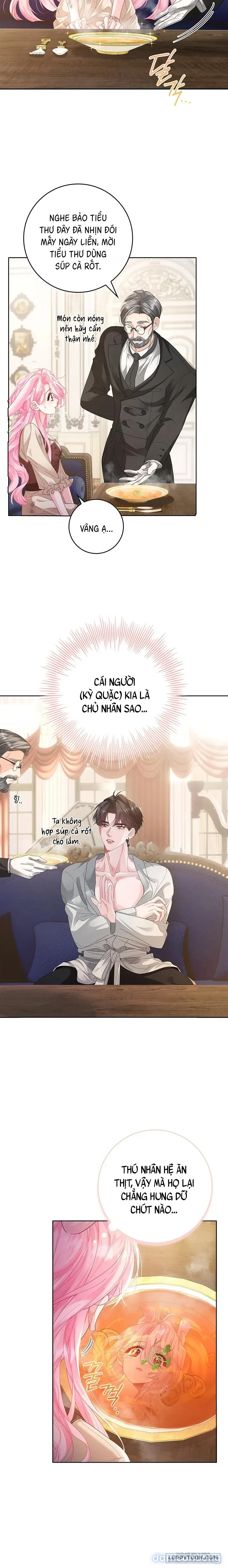 Nếu Bị Giam Giữ Hãy Vẫy Củ Cà Rốt 
