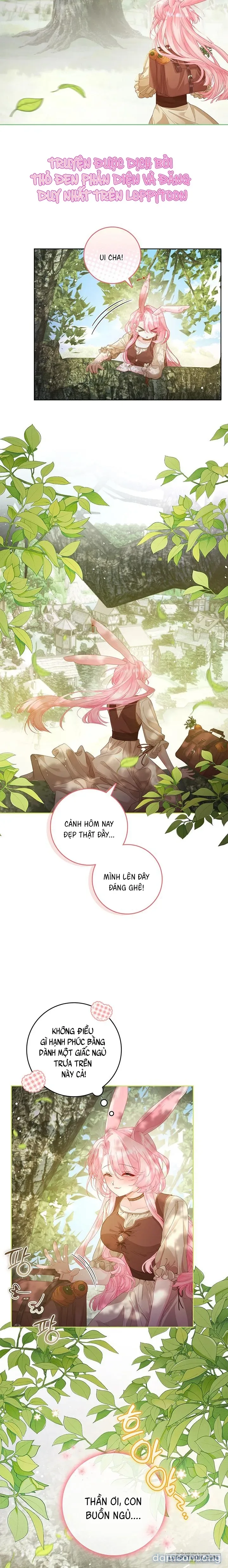 Nếu Bị Giam Giữ Hãy Vẫy Củ Cà Rốt 