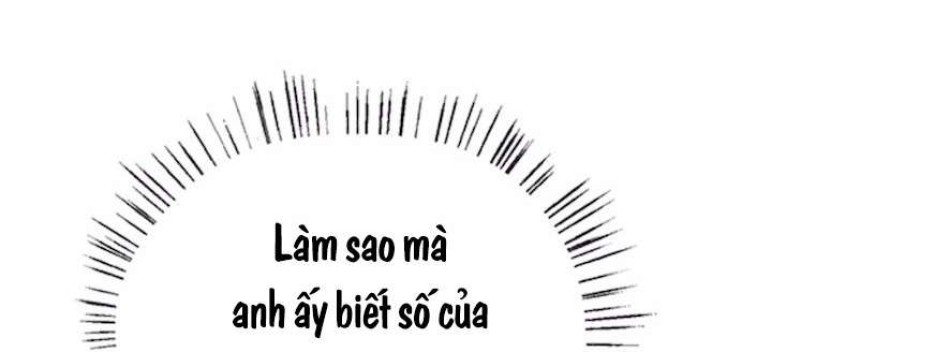 Cạm Bẫy Thanh Lịch 
