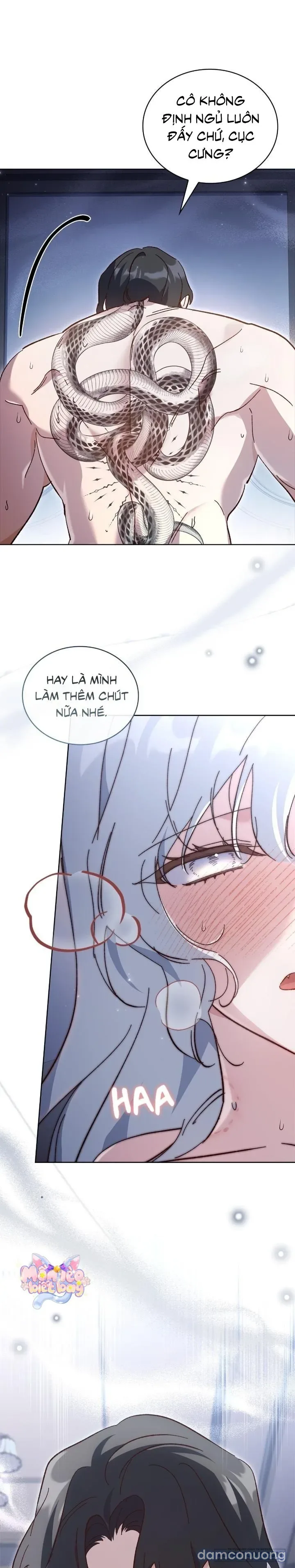 [18+] Tôi Đang Tìm Con Sói Đã Trêu Đùa Con Rắn Đen 