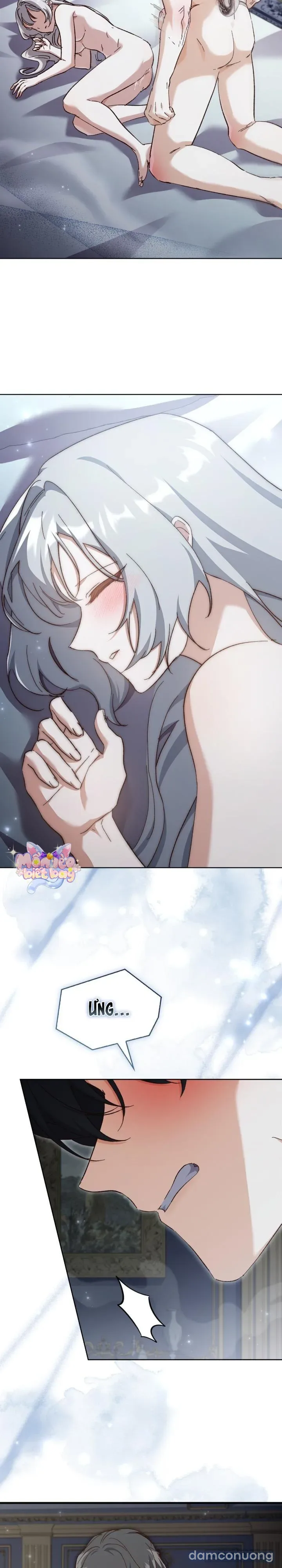 [18+] Tôi Đang Tìm Con Sói Đã Trêu Đùa Con Rắn Đen 