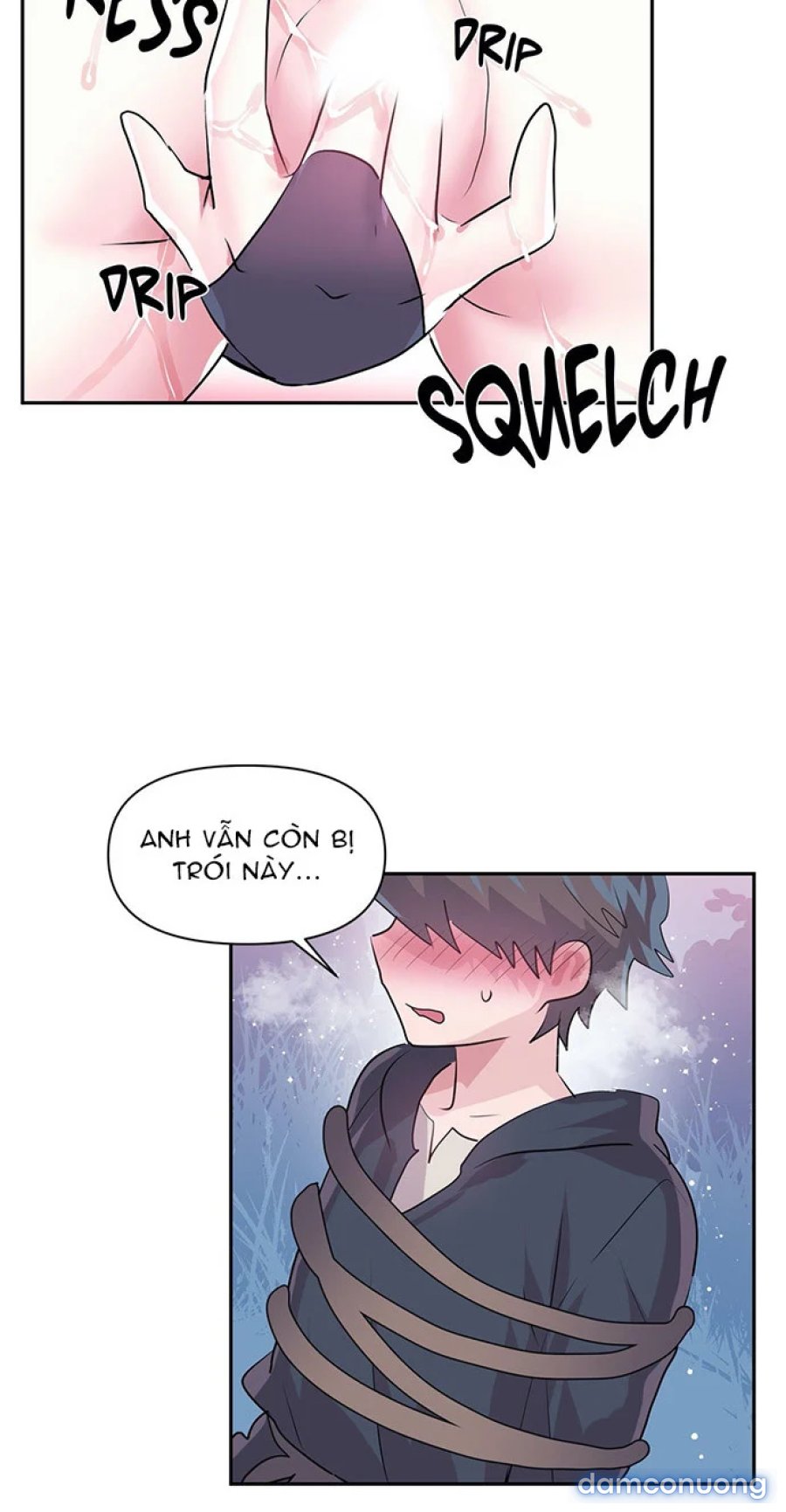 Khởi đầu cuộc phiêu lưu 