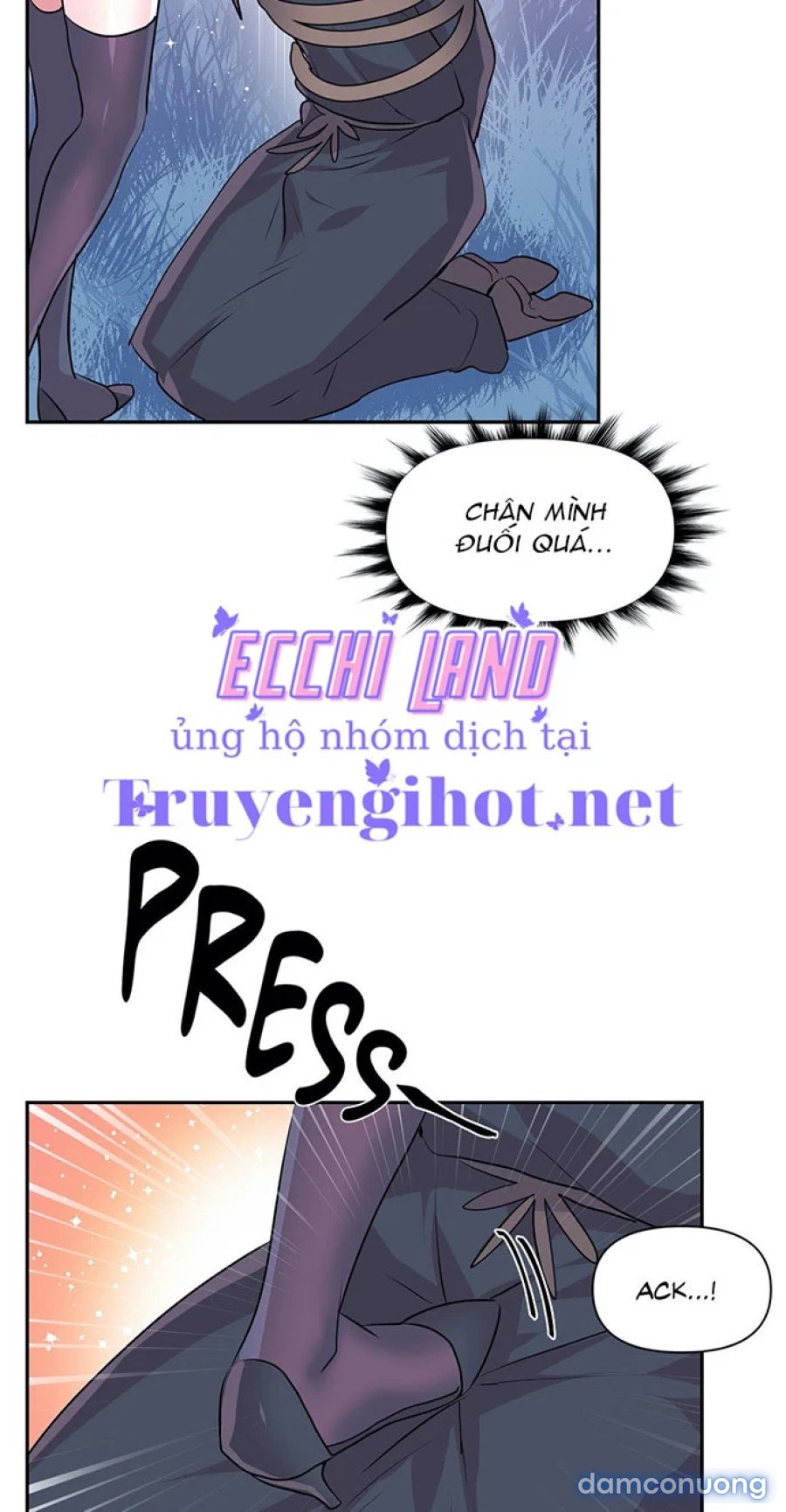 Khởi đầu cuộc phiêu lưu 