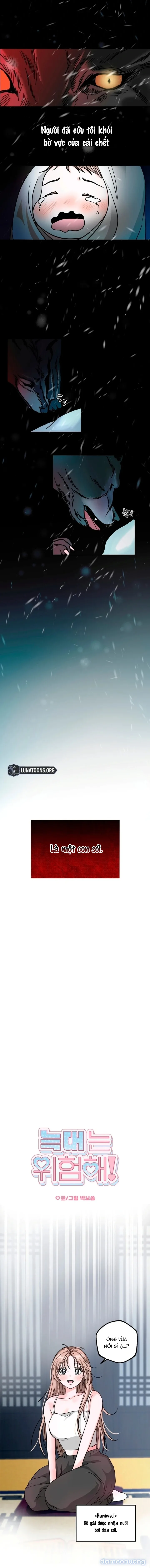 Sói Rất Nguy Hiểm 