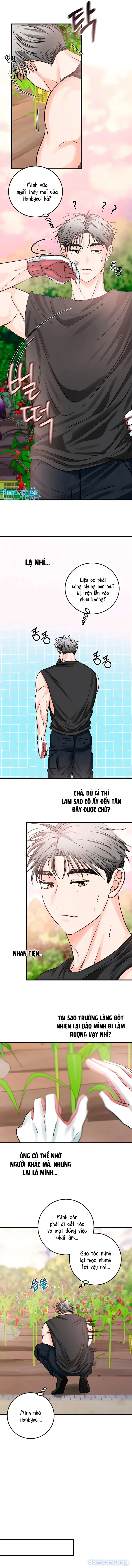 Sói Rất Nguy Hiểm 