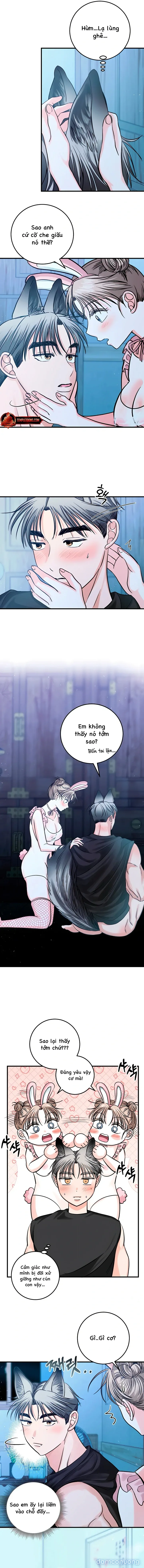 Sói Rất Nguy Hiểm 