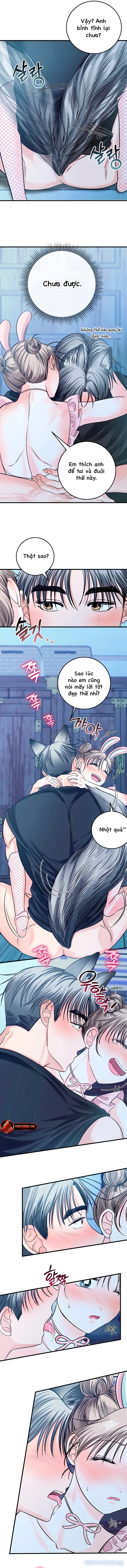 Sói Rất Nguy Hiểm 