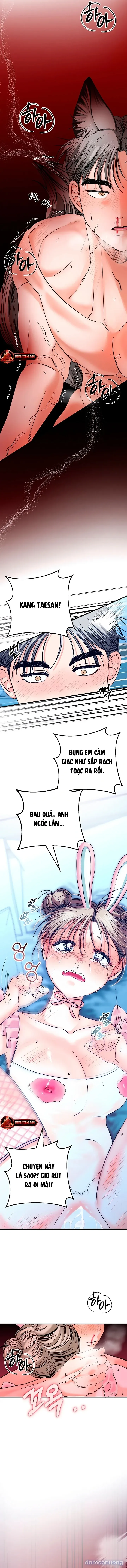 Sói Rất Nguy Hiểm 