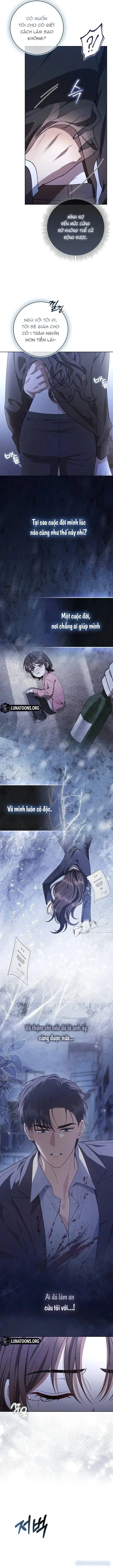 Cá Voi Đen 