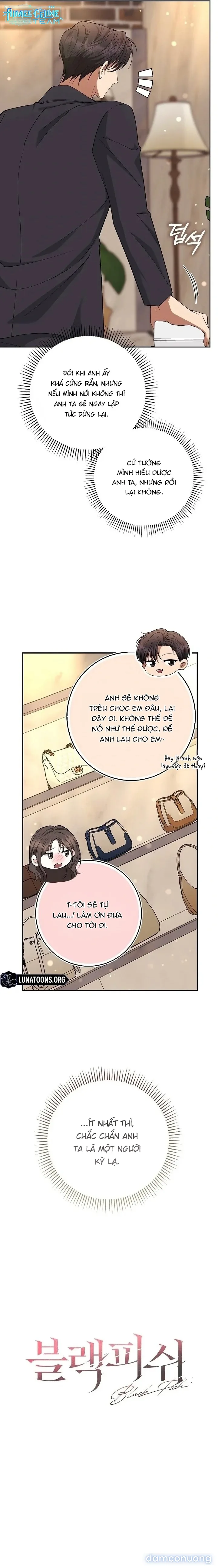 Cá Voi Đen 